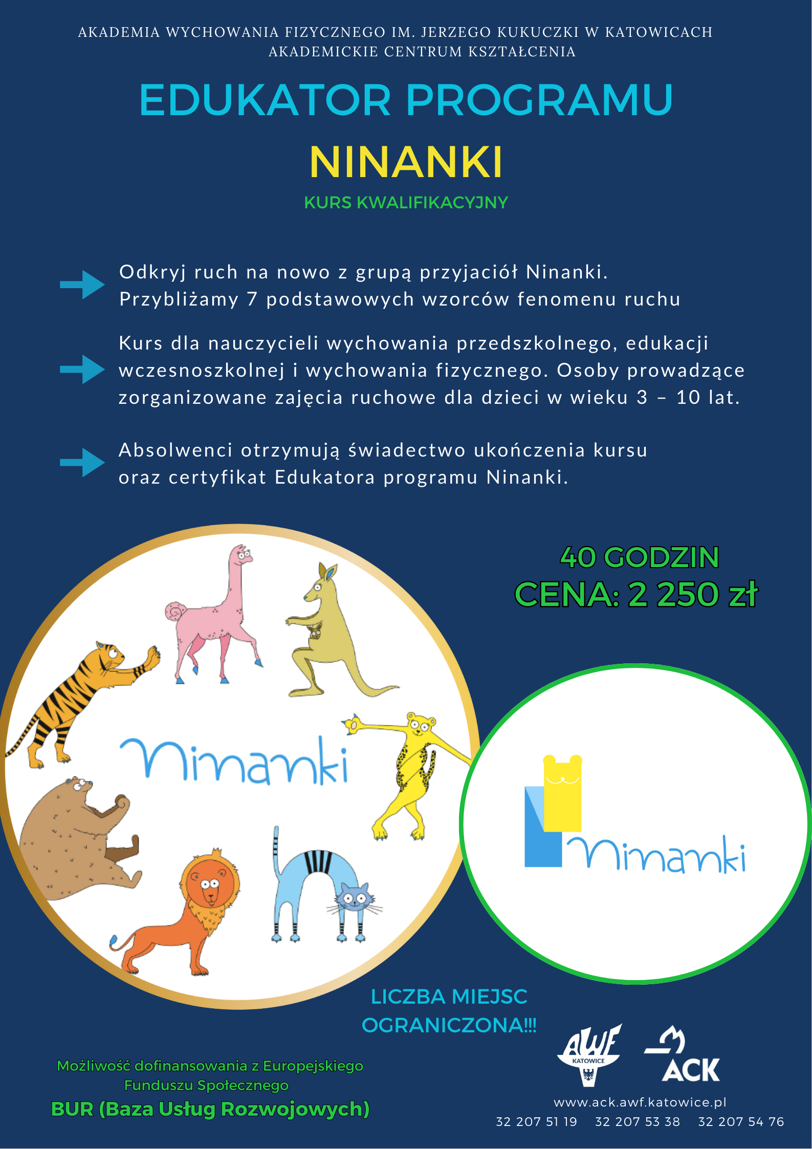 ninanki_plakat.png